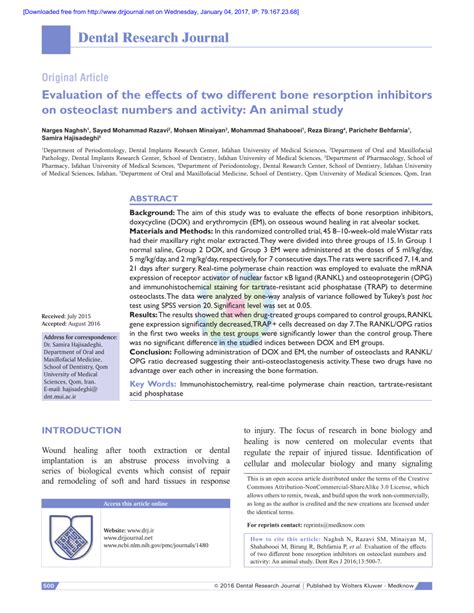 Pdf Evaluation Of The Effects Of Two Different Bone Resorption Inhibitors On Osteoclast