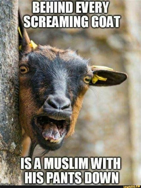 Evely Scheaming Goat Muslim Wht His Pants Gown Ifunny