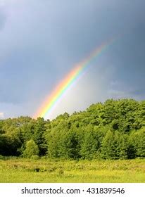 Rainbow Rainy Sky Background Stock Photo 431839546 | Shutterstock