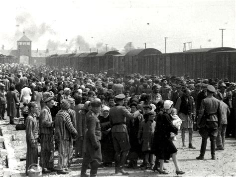 Gennaio La Liberazione Di Auschwitz Corriere It