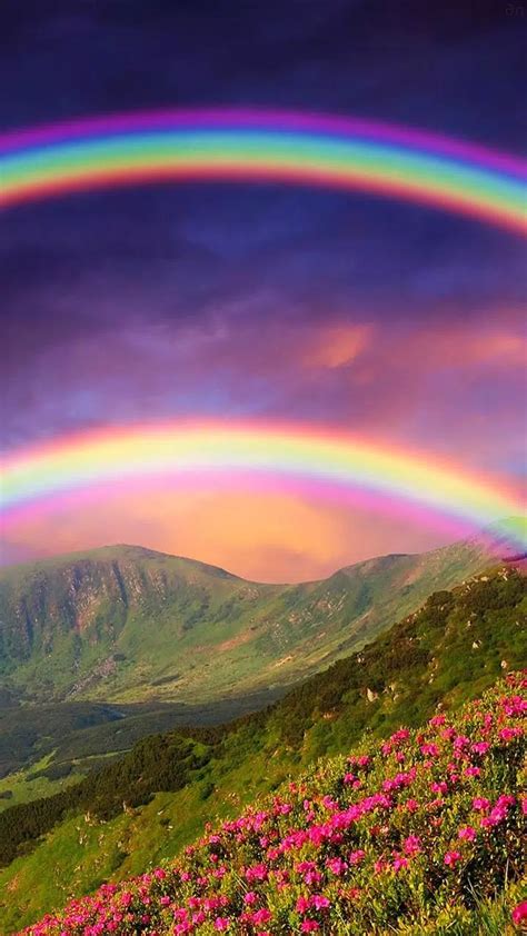 Real Rainbow Wallpaper