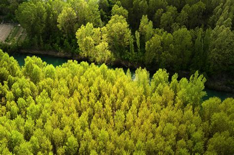 Javiersanchez Fotograf A Editorial Exposiciones Sobre Bosques En