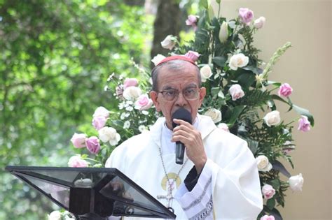 Cardenal Rosa Ch Vez Sobre Spot De Terror Era Un Spot Diab Lico