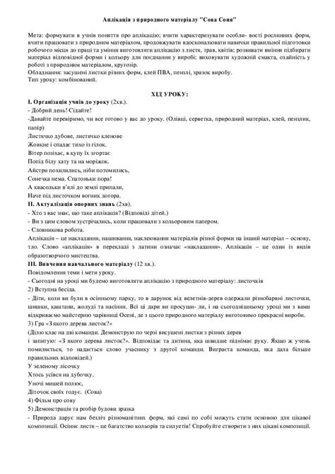 Аплікація з природного матеріалу "Сова Соня" | . Образотворче мистецтво