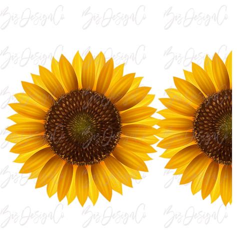 Girasol Dise Os De Sublimaci N Descargas Medio Girasol Png Etsy Espa A