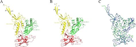 Structural models of the two near full-length gp120s in the unliganded ... 