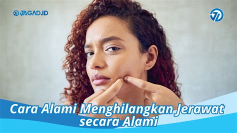 Cara Alami Menghilangkan Jerawat Secara Alami Aman Dan Efektif Jagad Id