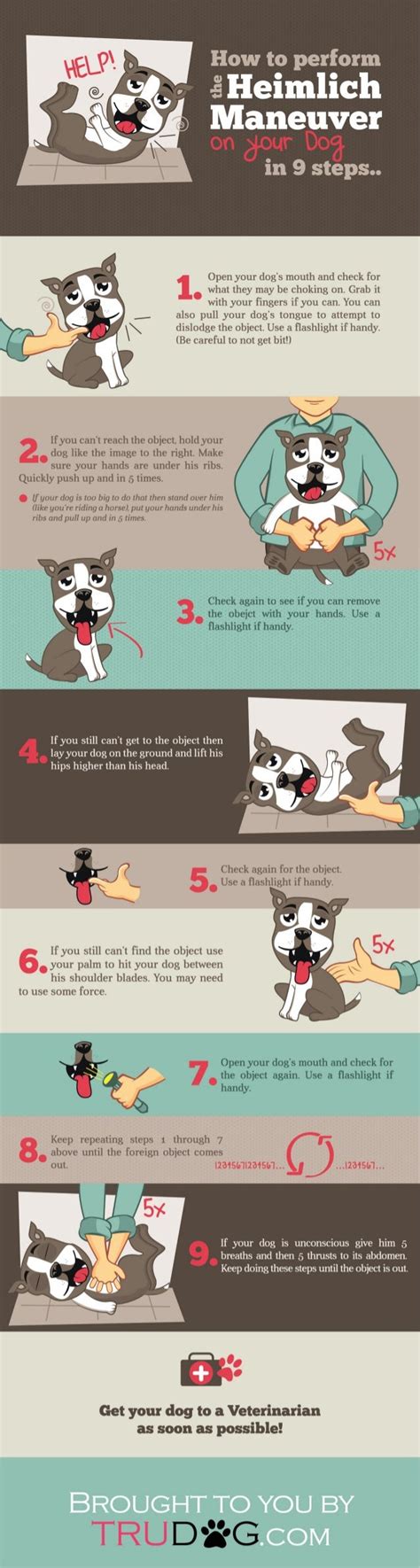 How to Perform the Heimlich Maneuver on Your Dog in 9 Steps