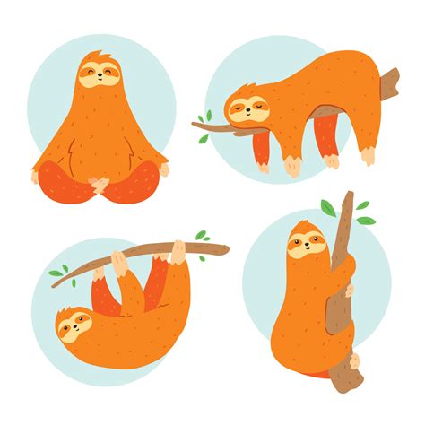 Sloth On White Vector 210863 Vector Art At Vecteezy