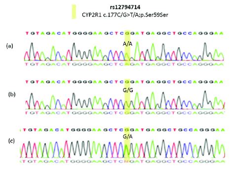 Samples Of Observed Sanger Sequencing Chromatograms That Showed