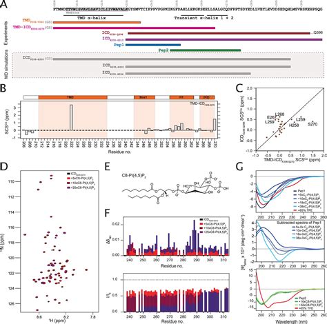 The Prolactin Receptor Scaffolds Janus Kinase 2 Via Co Structure