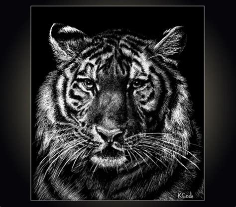 Lithograph Print Tiger A Pen And Ink On Scratchboard Drawing Of A