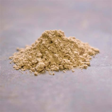 Slippery Elm - Powder | The Shanti Shop