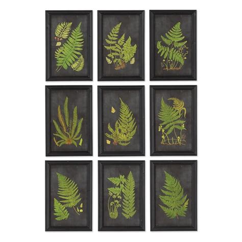 Framed Fern Botanical Prints Set Of Ivystone