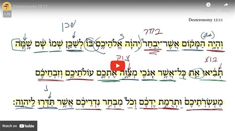 Deuteronomy 12:11 | Daily Dose of Hebrew