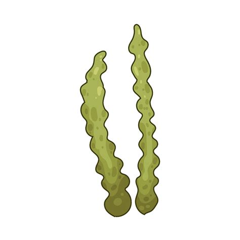 Illustration of seaweed 48688251 Vector Art at Vecteezy