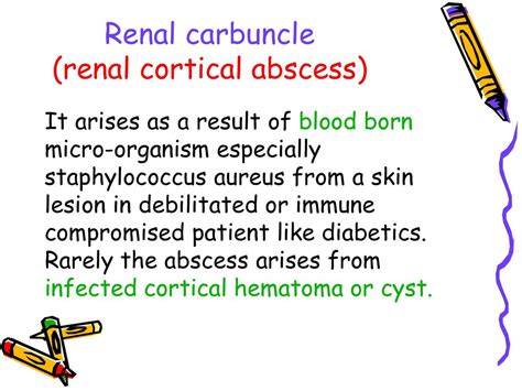 Urinary Tract Infection Cont Ppt Video Online Download