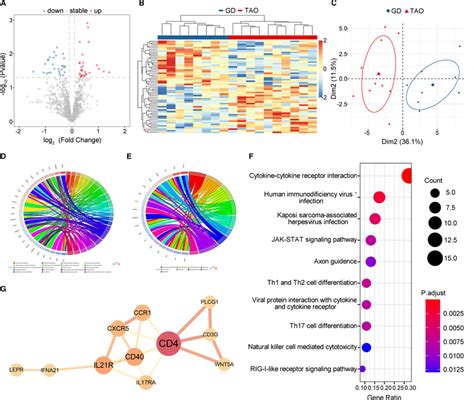 Identification Of Differentially Expressed Immunerelated Genes IRGs