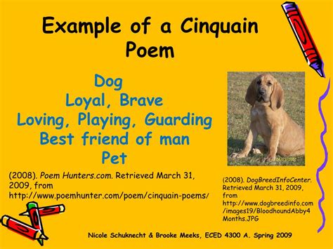 Examples Of Cinquain Poems About Animals | Sitedoct.org