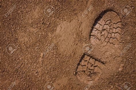 Resultado De Imagem Para Footprints In Mud Footprint Mud Stock