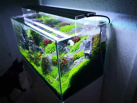 186 LED Aquarienbeleuchtung Alle Details Und Fakten Zur Technik Teil 1