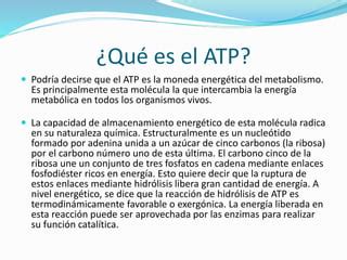 ATP y su función en los seres vivos PPT