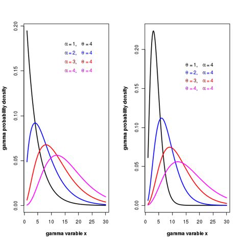 Statistical Distribution Gamma Distribution Gamma Function