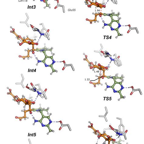 Optimized Geometries Of Intermediates And Transition States Along The