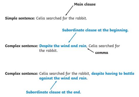 Subordinate Clause | What is a Subordinate Clause for Fifth and Sixth Class