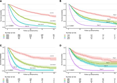 Frontiers A Novel Risk Classification System Based On The Eighth