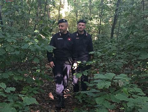 Ceriano Nuovo Blitz Dei Carabinieri Nel Bosco Della Droga 20