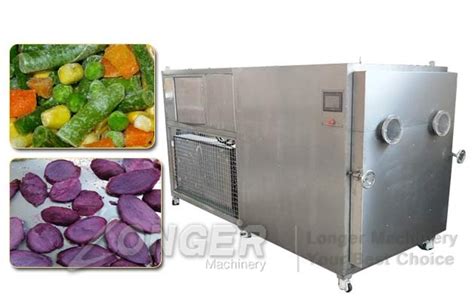 Vacuum Freeze Drying Machine Automatic Fruit Vegetable Chips Freeze