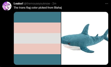 cute funny plushies  plush memes blahaj  trans rights