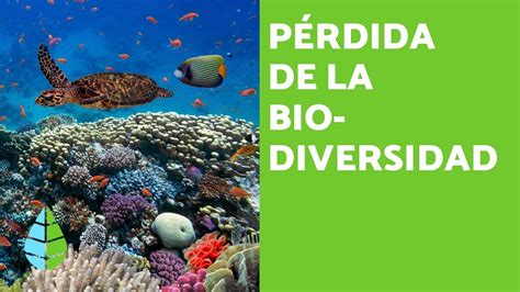 La pérdida de biodiversidad y extinción de especies