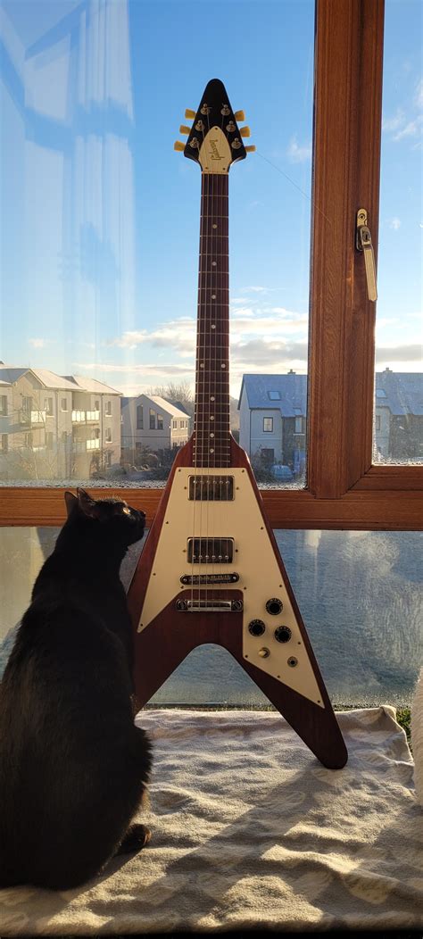 Flying V : r/guitars