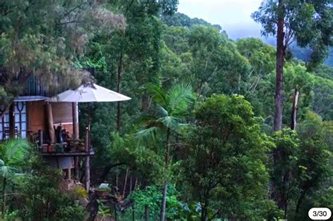 Treehouse In The Pocket Hipcamp In Middle Pocket New South Wales