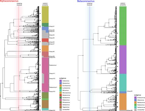 Phylogenetic Subgenus Classifications For Partial RdRp Sequences Of