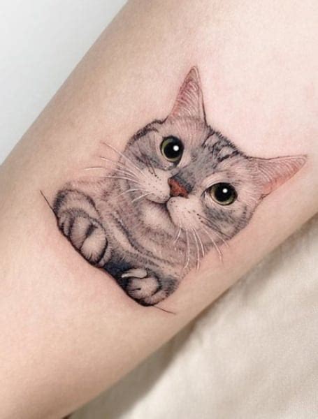 Details More Than 74 Cat Belly Tattoo Super Hot In Coedo Vn