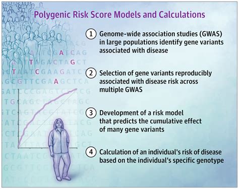 What Are Polygenic Scores And Why Are They Important