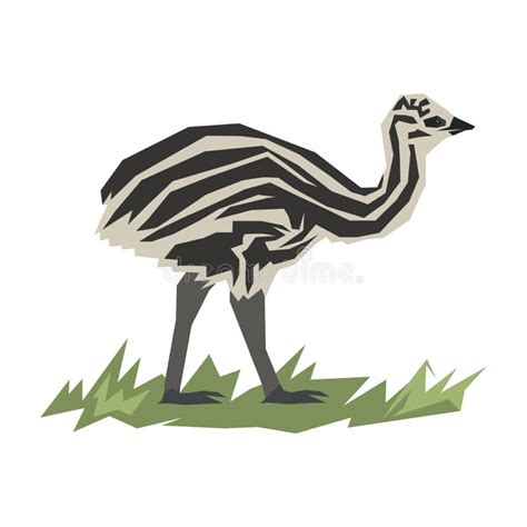 Baby Emu Stock Illustrations 375 Baby Emu Stock Illustrations