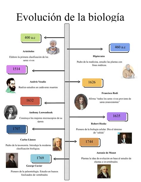 Linea Del Tiempo De La Teoria De La Evolucion Thedu