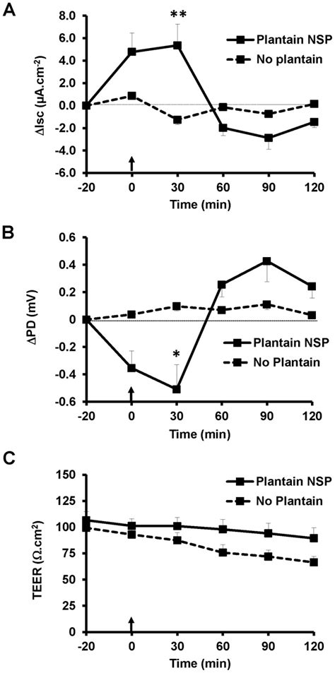 Plantain Nsp 5 Mgml Significantly Increased A Transmucosal Short Download Scientific