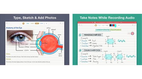 Best Note Taking Apps For Ipad And Apple Pencil Imore