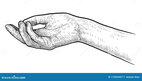 Reaching Hand Illustration Drawing Engraving Ink Line Art Vector