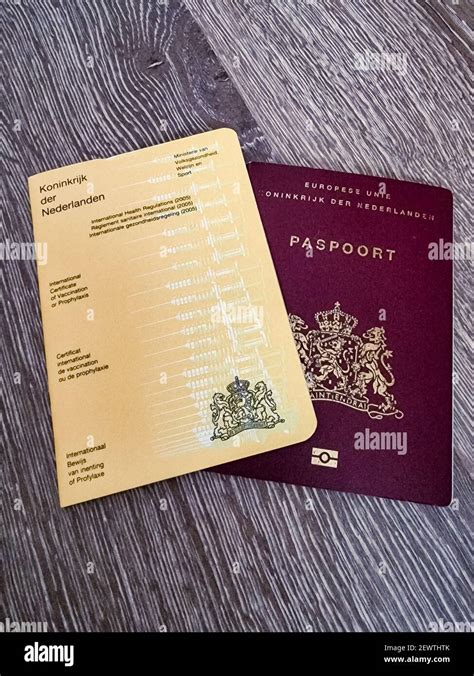 yellow vaccination Passport of the Netherlands , dutch passport, wooden ...