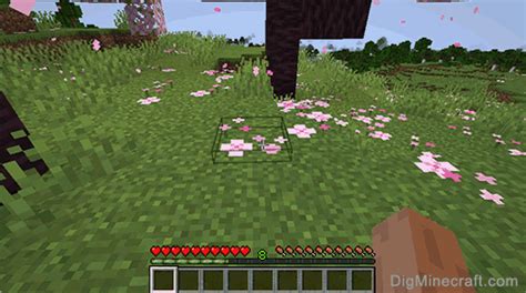 How to make Pink Petals in Minecraft