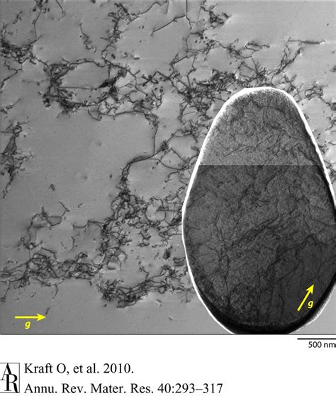 Bright Field Transmission Electron Micrograph With G Indicating The