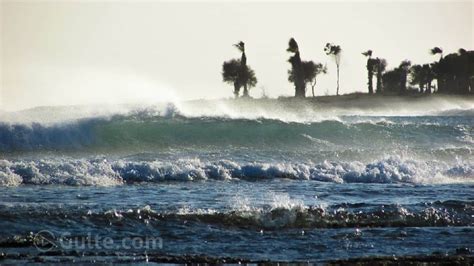 Pics: Cyclone Nivar Hits Chennai