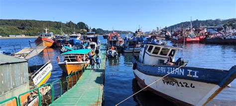 Pescadores Destacan Aporte Municipal En Ejecuci N De Ley De Caletas En