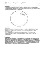 BIOL 201 Laboratory Microscopy In Class Exercises Fall 2020 Pdf BIOL